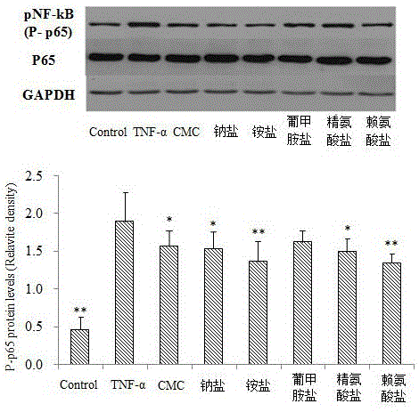 Application of S-(carboxymethyl)-L-cysteine to preparation of medicines for preventing and treating respiratory system diseases