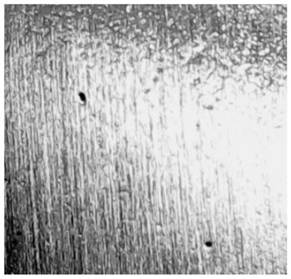 Method for reducing surface roughness of aviation precision forging blade after shot blasting