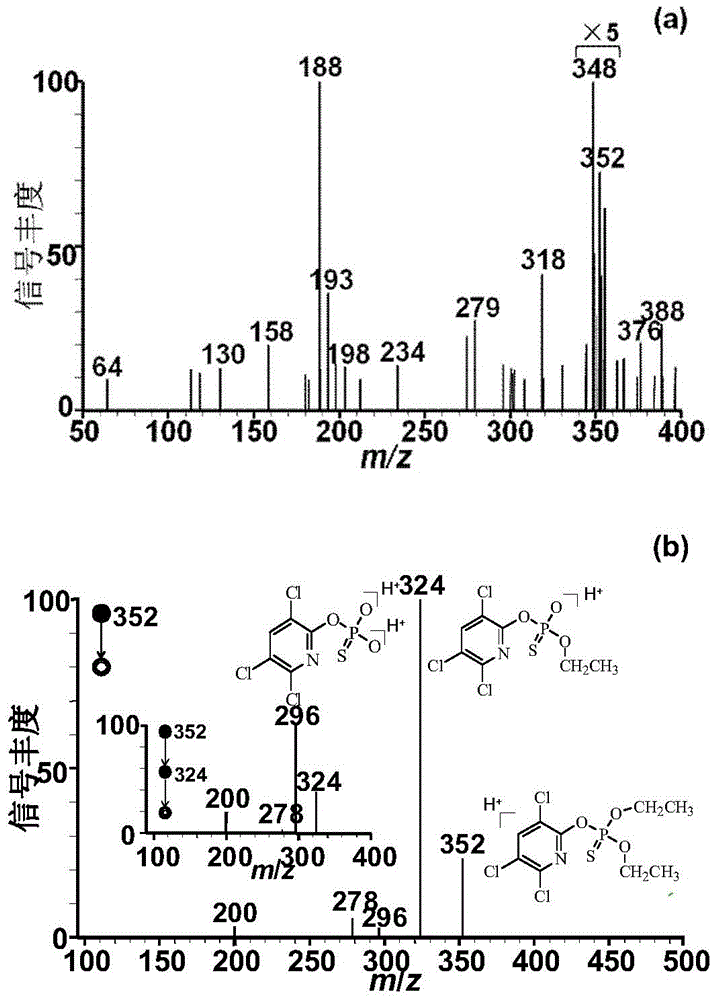 Method for rapidly detecting chlorpyrifos in honey by using neutral desorption-extractive electrospray ionization mass spectrometry
