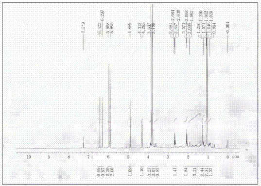 Lignan compounds from Schisandra schisandrae and method for obtaining them