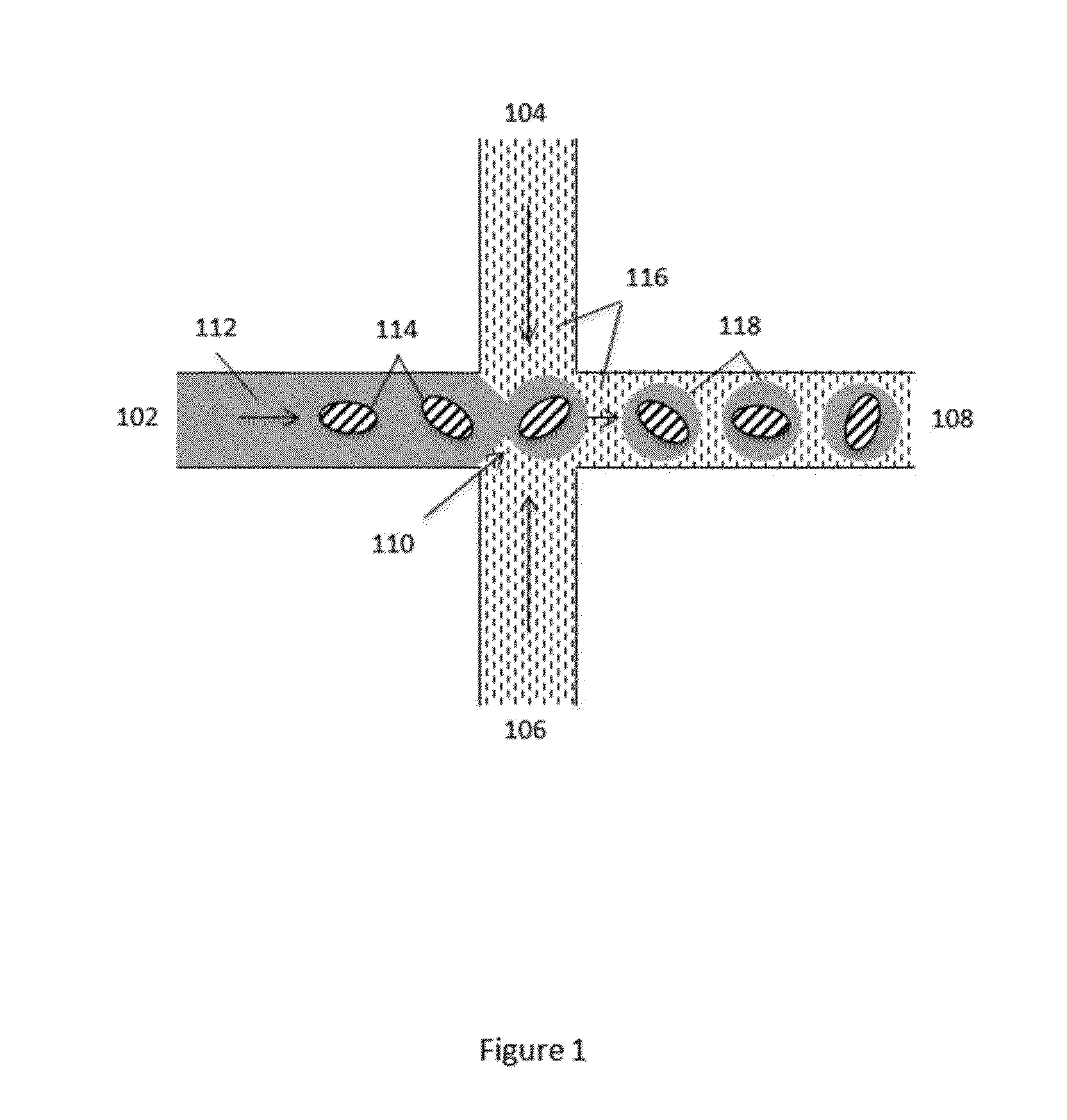 Methods of Analyzing Nucleic Acids from Individual Cells or Cell Populations