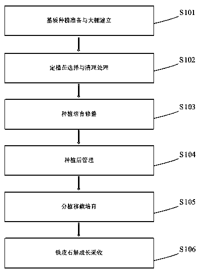 Improved cultivation method of selenium-rich dendrobium candidum