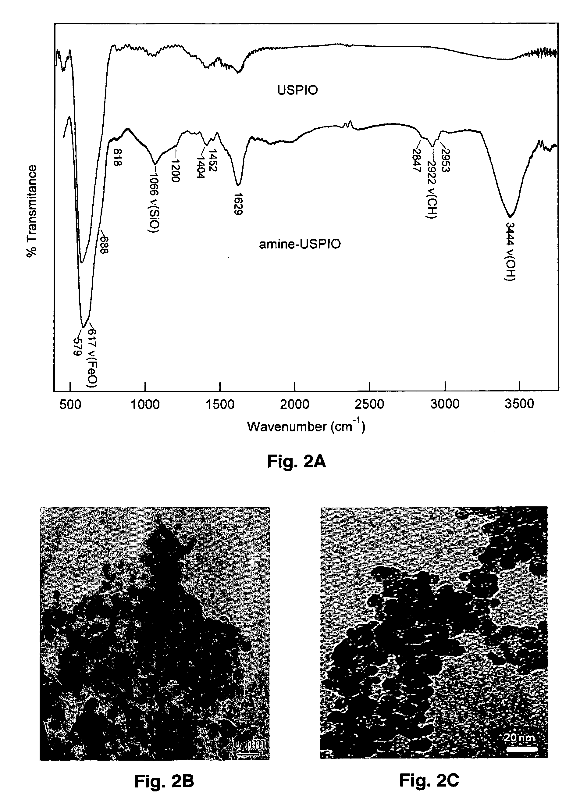 Ultrasmall superparamagnetic iron oxide nanoparticles and uses thereof