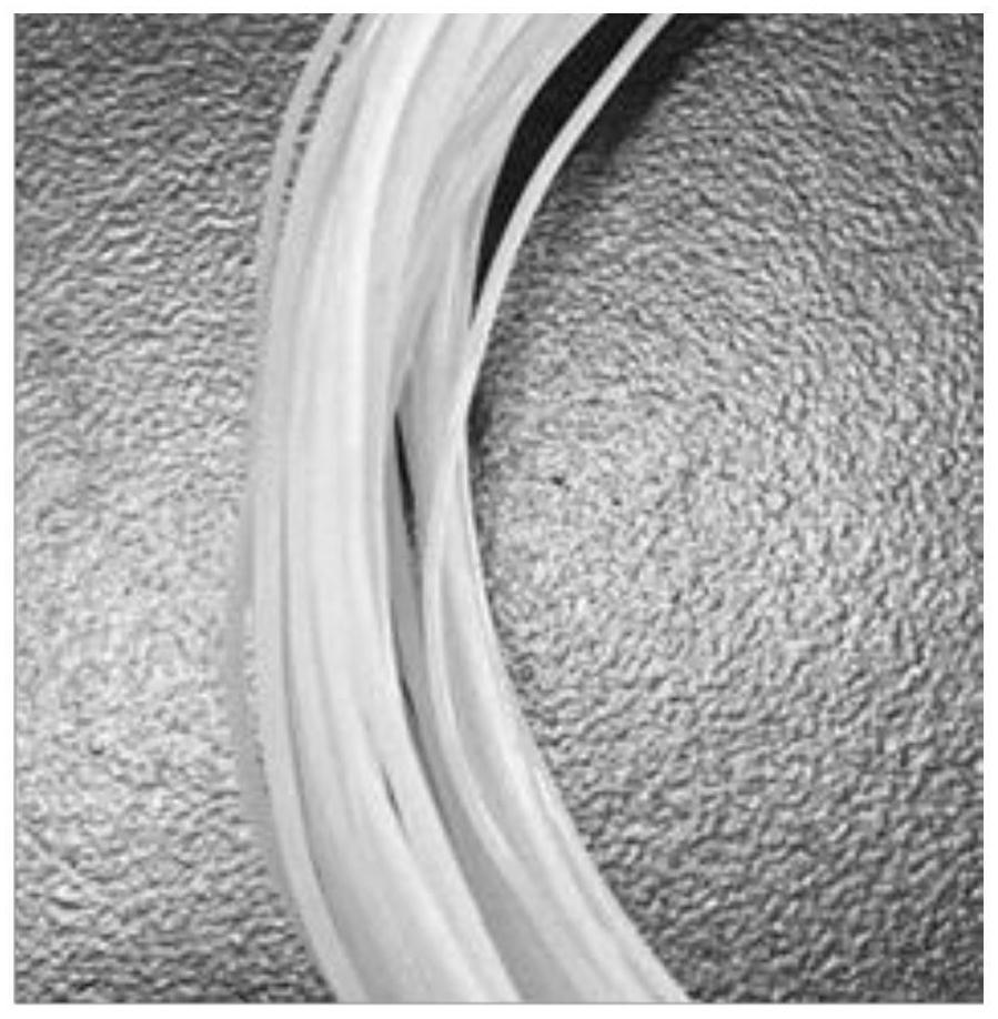 Polyether-ether-ketone hollow fiber porous membrane and preparation method thereof