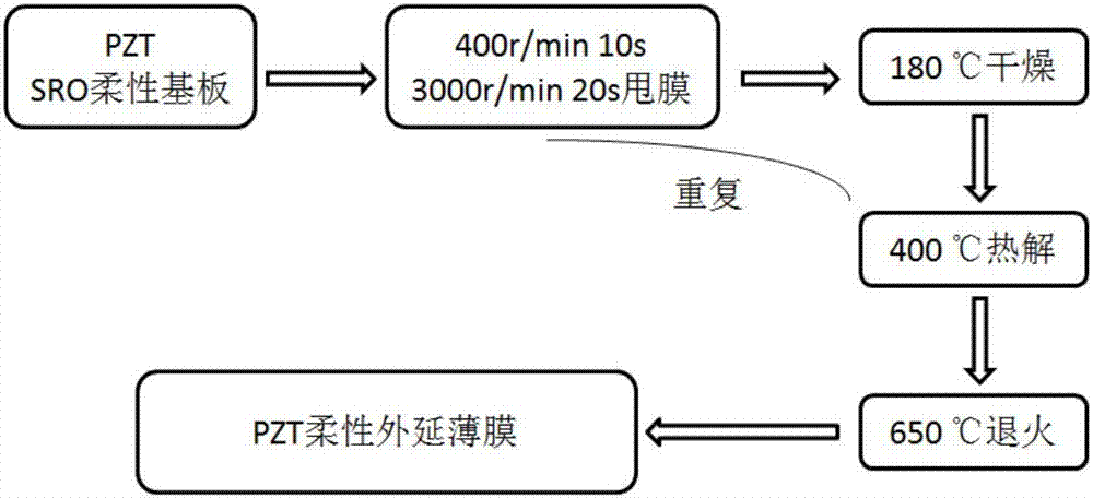 Preparation method of flexible epitaxial ferroelectric film