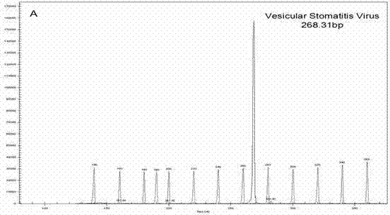 Primer and kit for detecting vesicular stomatitis viruses and preparation method of kit