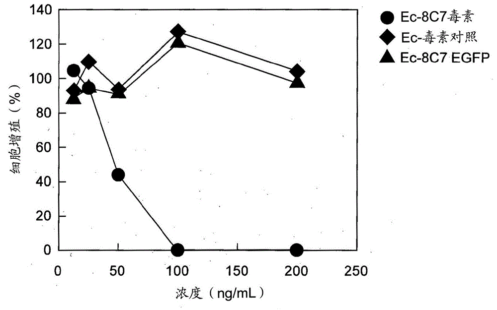 Anti-tumour agent, marker for tumour detection, and oral vaccine agent