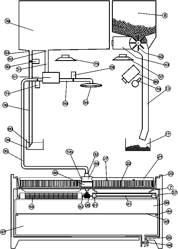 A fully automatic domesticated bird cage for feeding and training