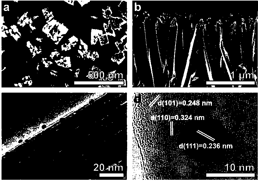 Gold nano particle-titanium dioxide nano wire array composite material as well as preparation method and application thereof