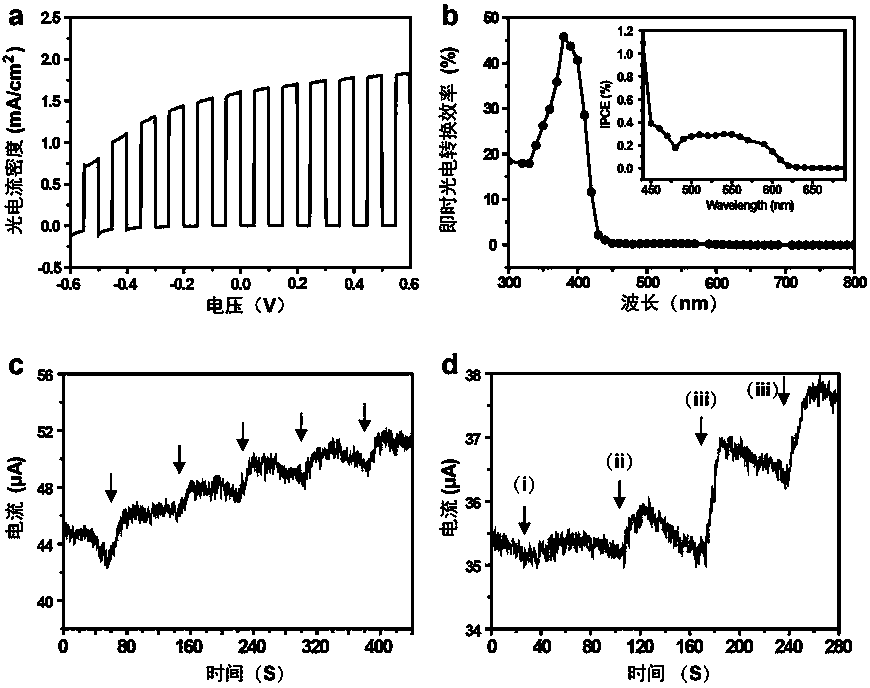 Gold nano particle-titanium dioxide nano wire array composite material as well as preparation method and application thereof