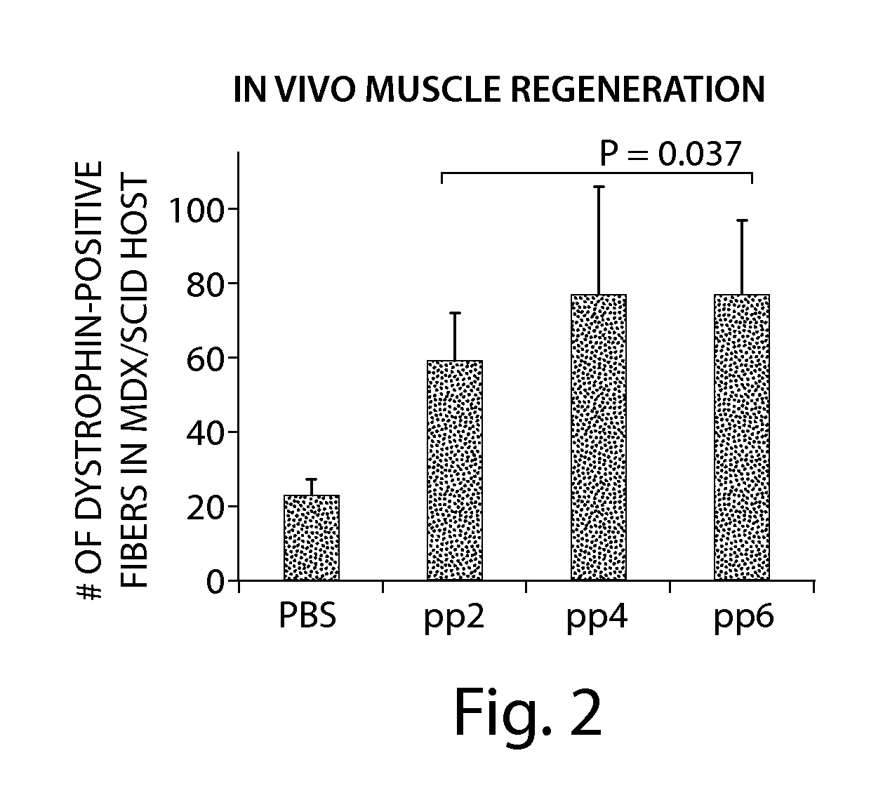 Skeletal muscle augmentation utilizing muscle-derived progenitor compositions, and treatments thereof