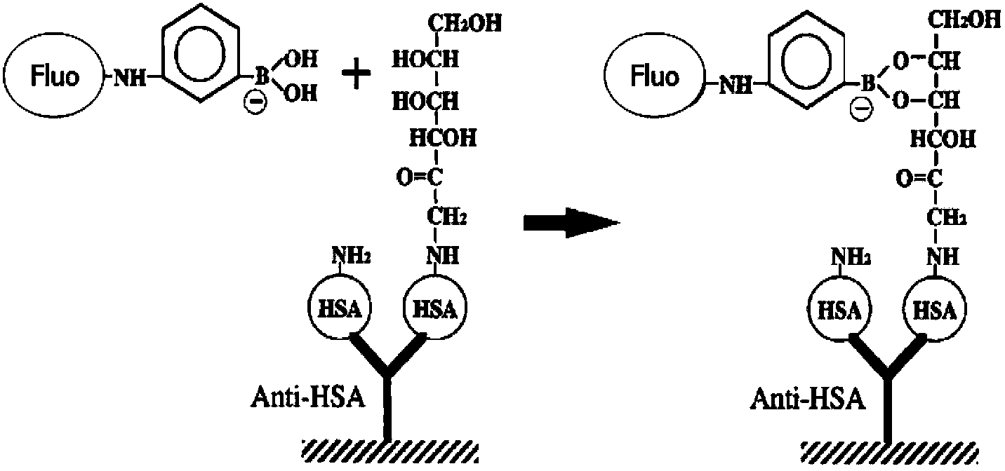 Glycated albumin detection immunochromatography test trip and preparation method thereof