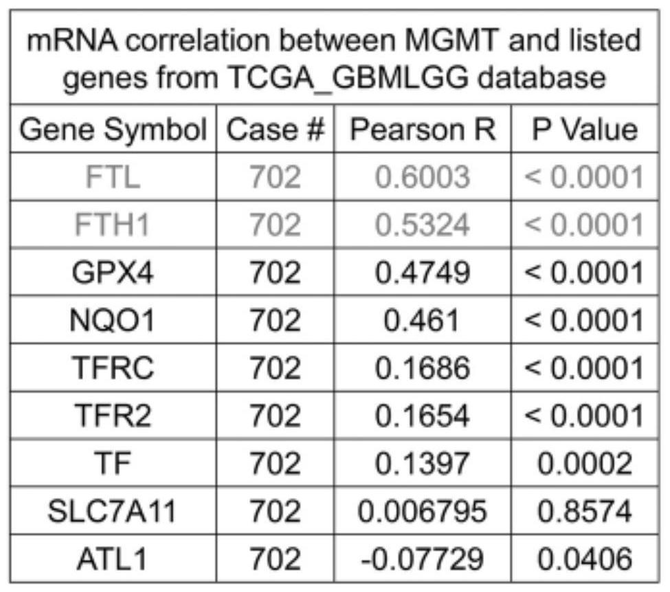 Gene marker for glioma prognosis and application thereof