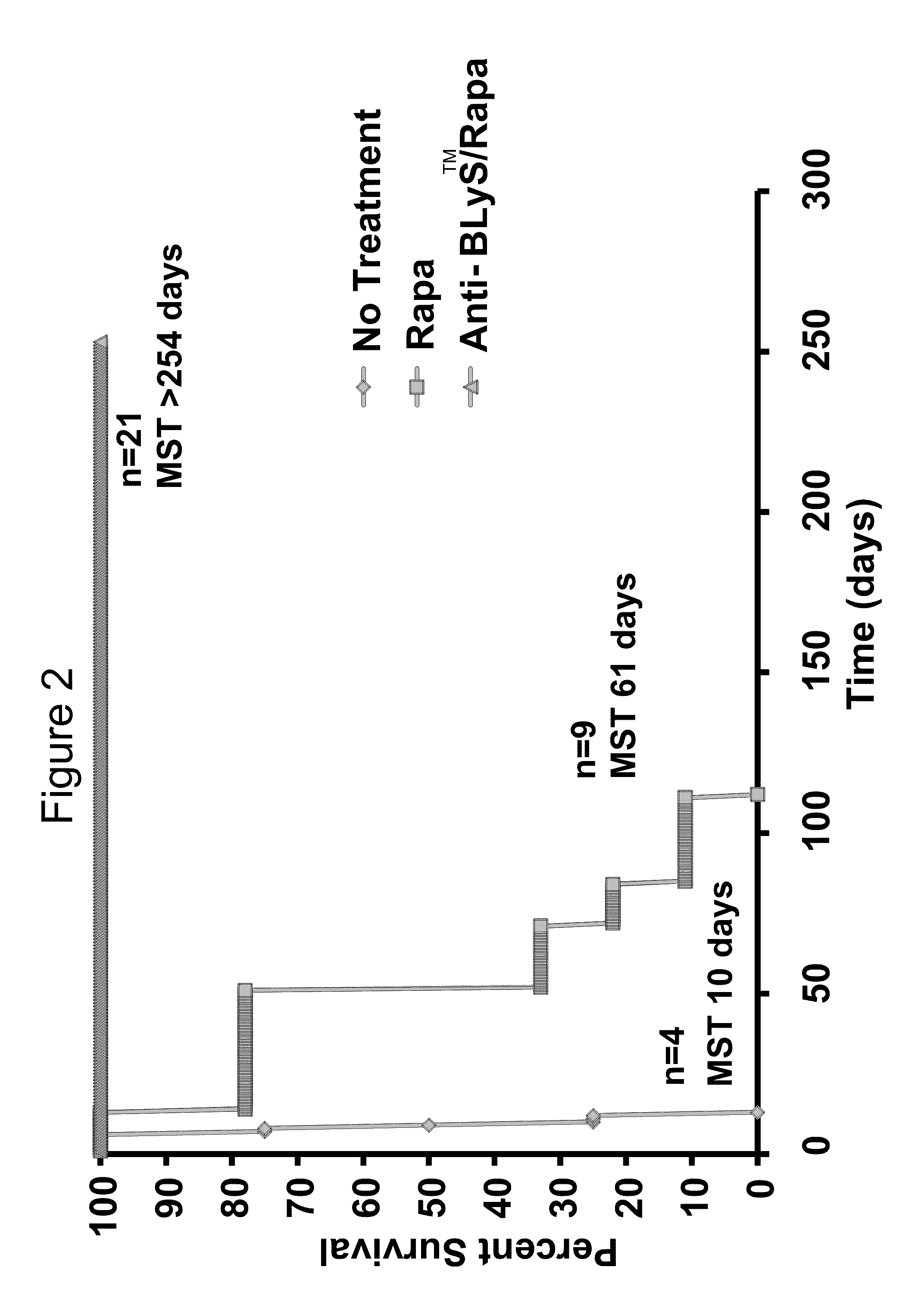 Use of b lymphocyte stimulator protein antagonists to promote transplantation tolerance