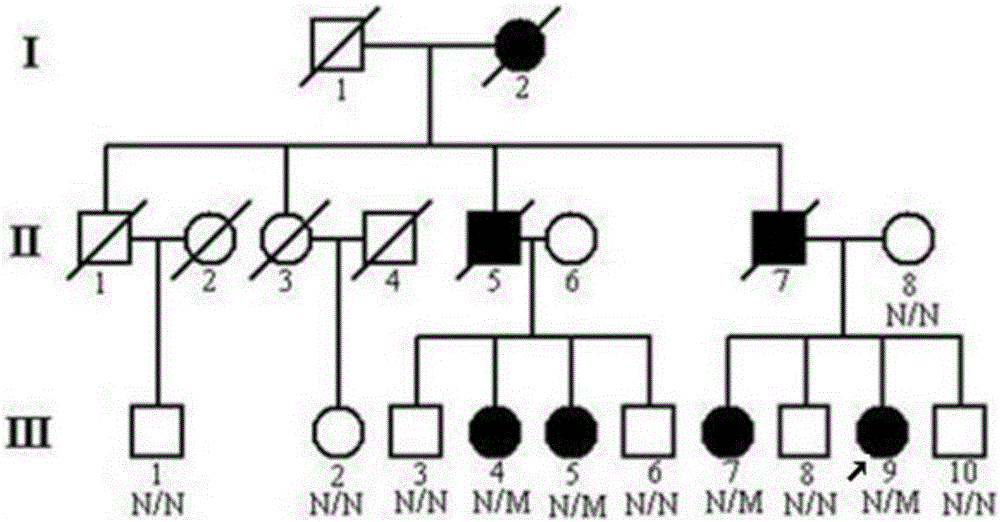 Parkinson disease pathogenic gene and detection kit