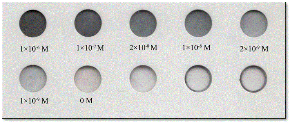An ultra-trace lead and cadmium ion detection method and detection test strip
