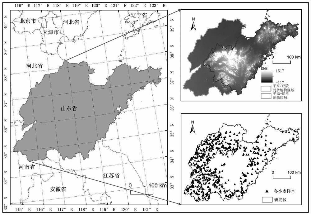 A method and system for crop yield spatialization