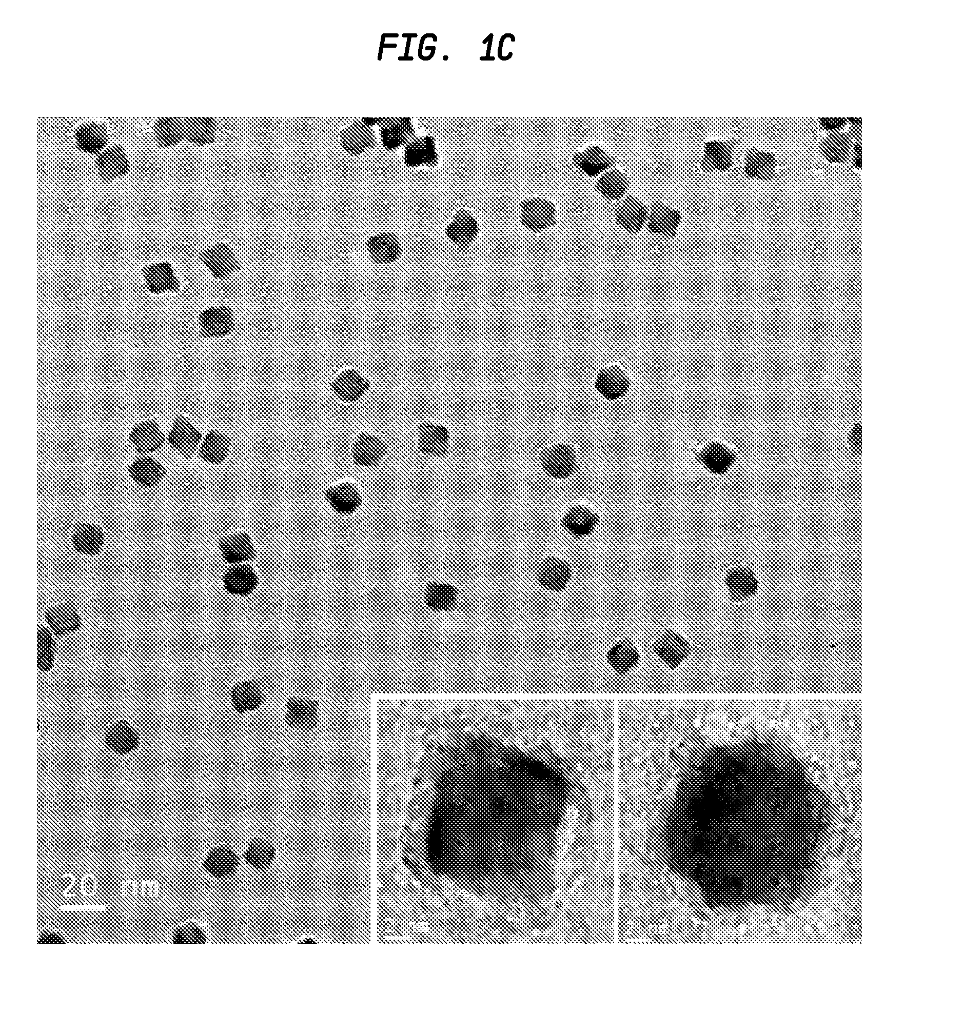 Method for the preparation of IV-VI semiconductor nanoparticles