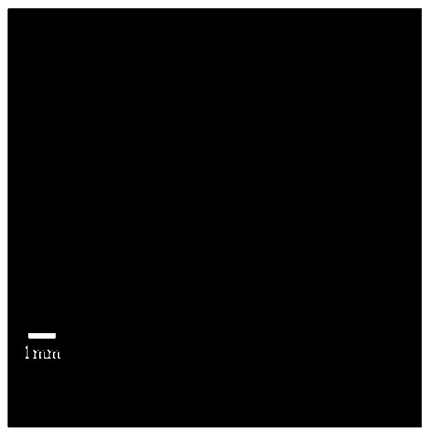 A kind of composite porous sponge material and preparation method thereof