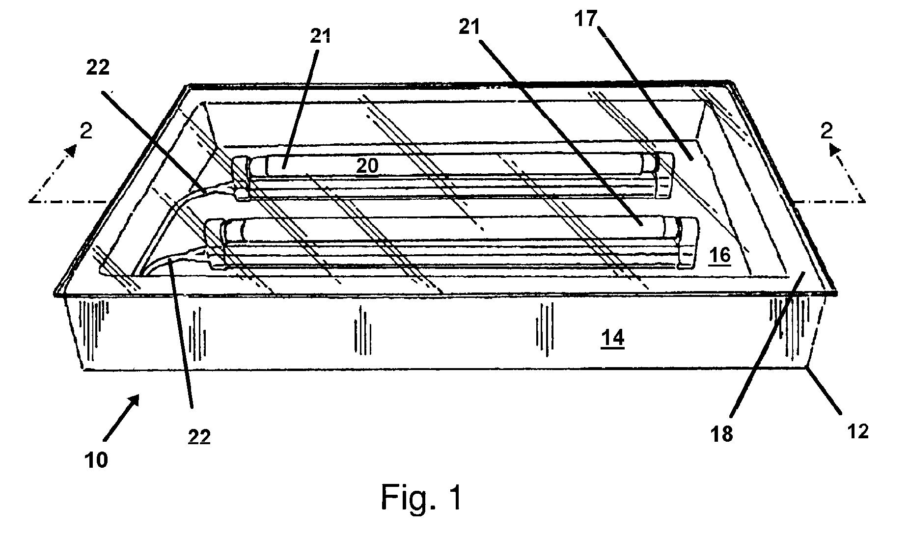 Apparatus and Method for Sanitizing Feet and the External Surfaces of Footwear