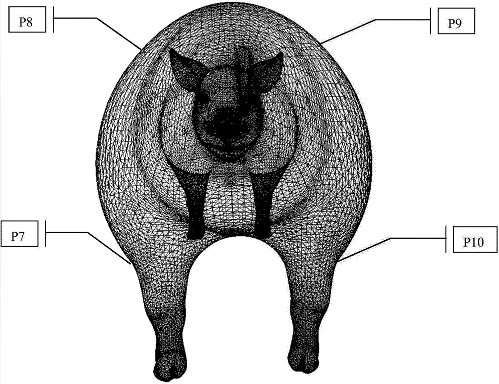 Animal shape phenotype automatic measuring method