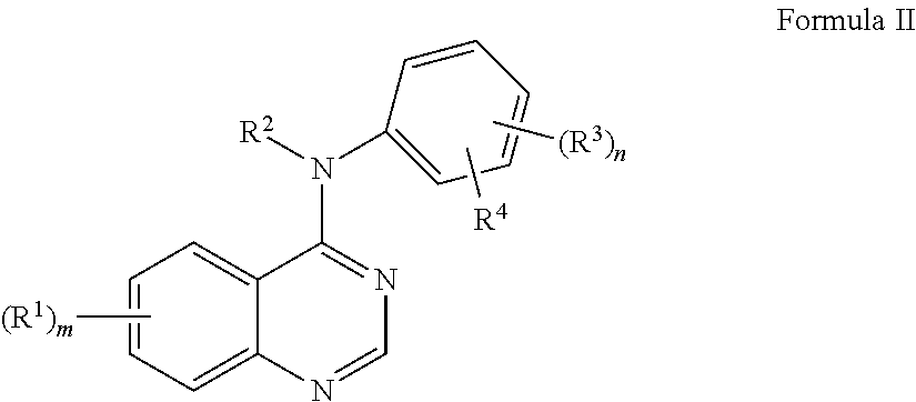 Oligomer-Protein Tyrosine Kinase Inhibitor Conjugates