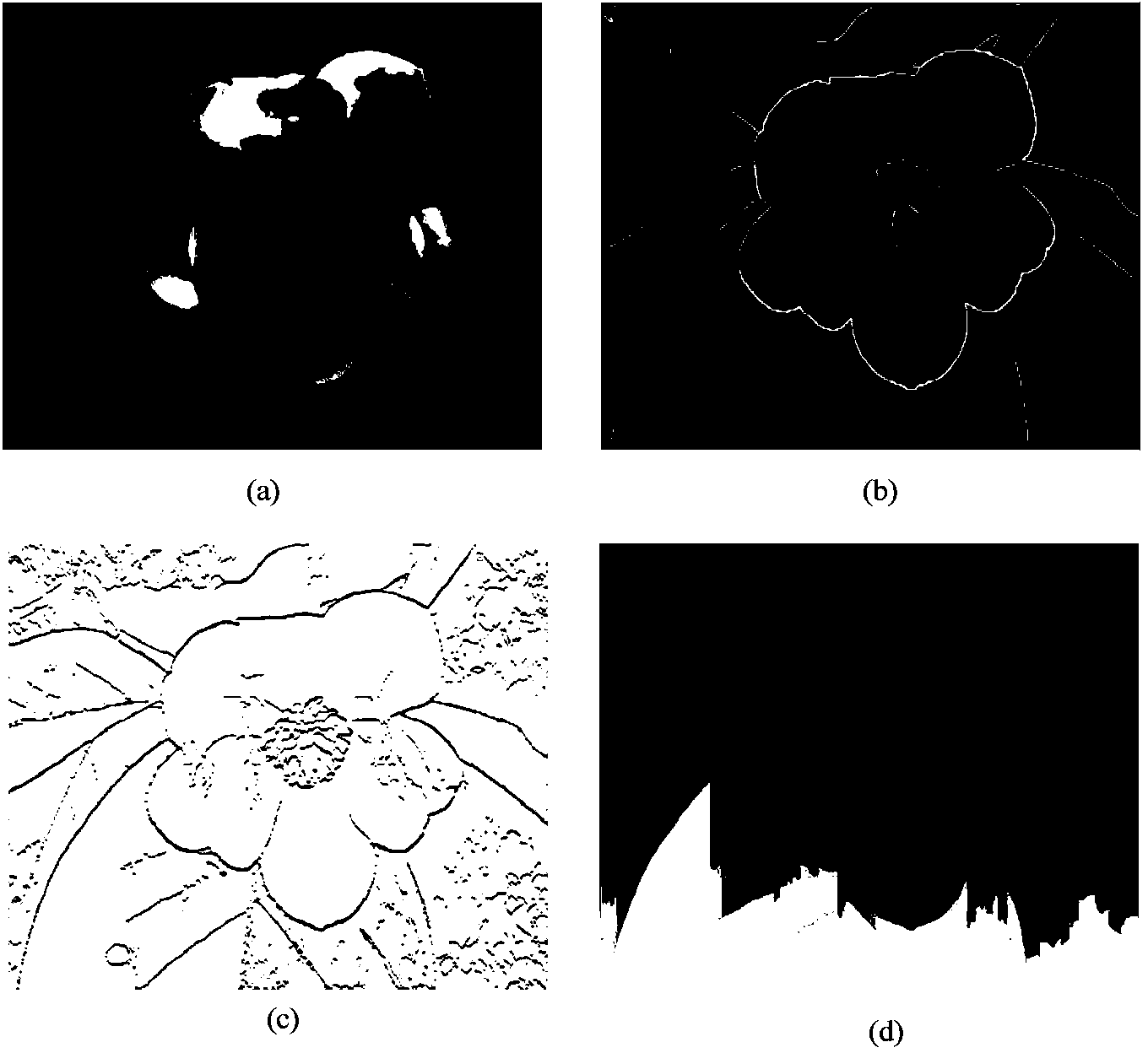 Depth estimation method based on relative height-depth clue