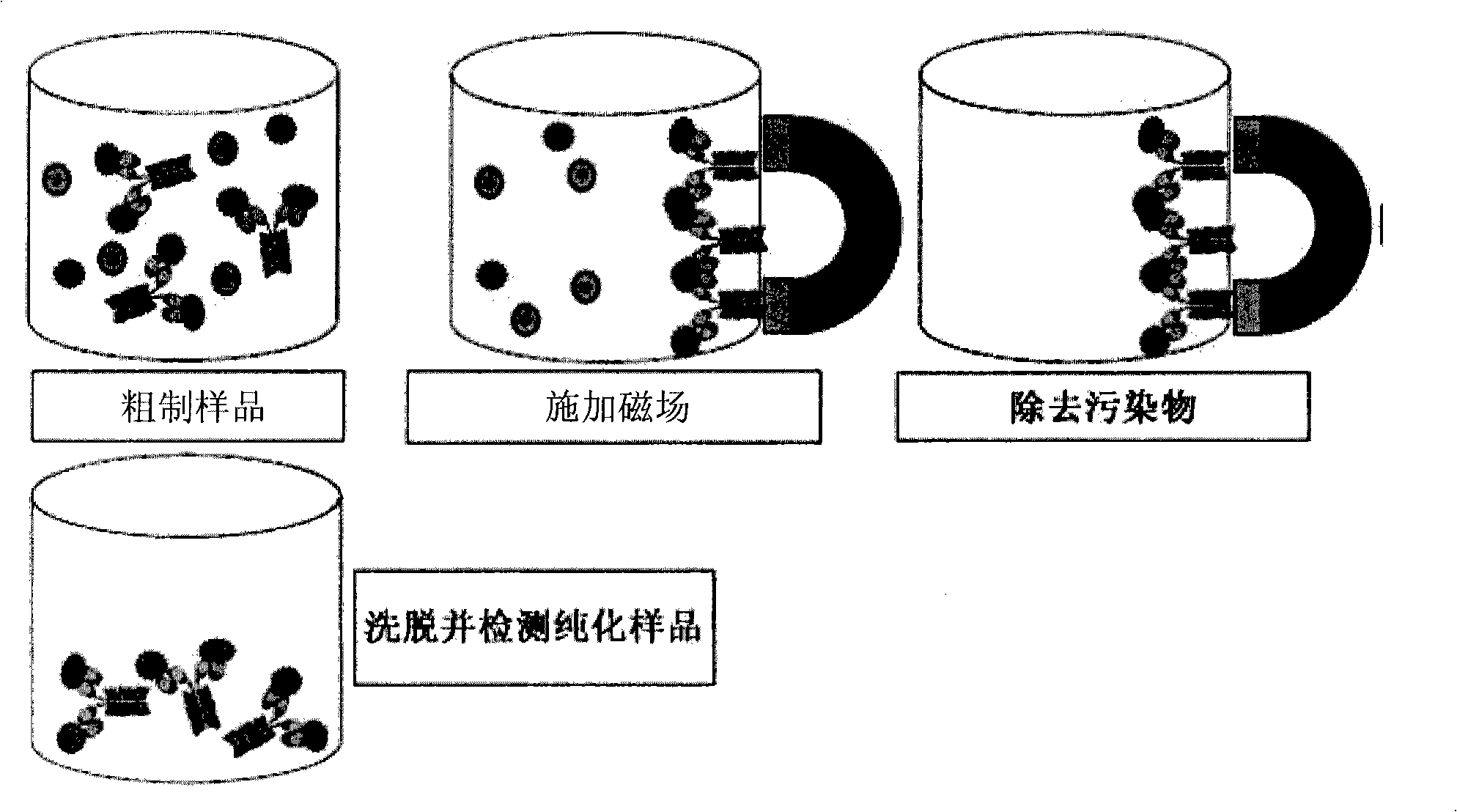 Magnetic recognition system