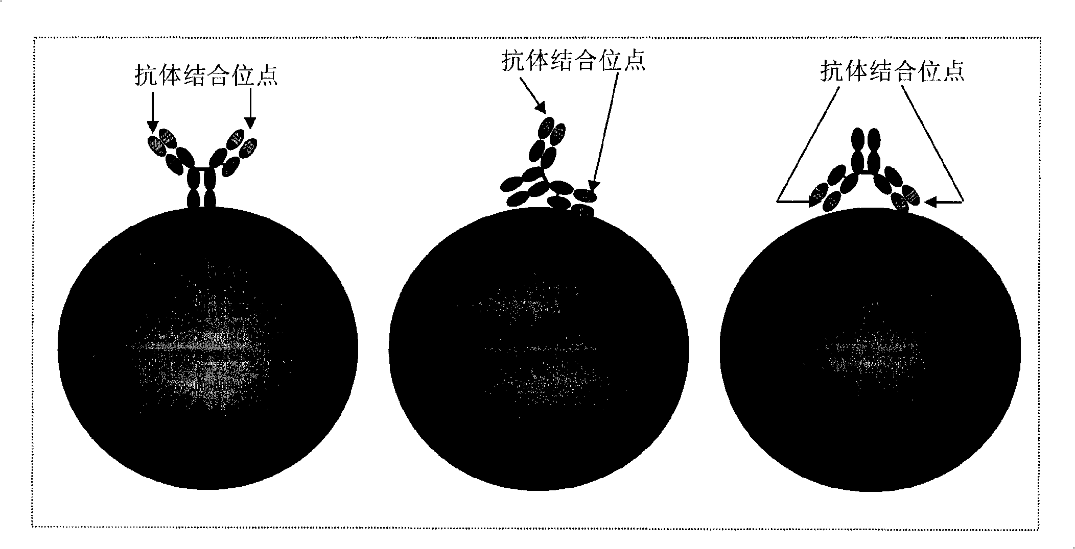 Magnetic recognition system