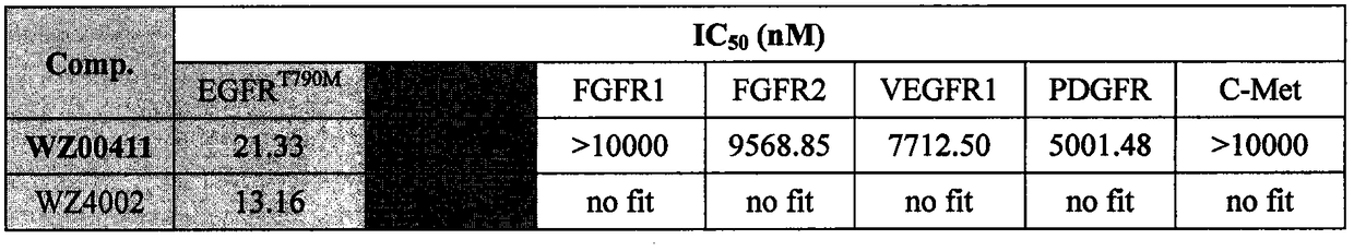 A pyrazolo[5,6-d]pyrimidine EGFR inhibitor and its antitumor activity