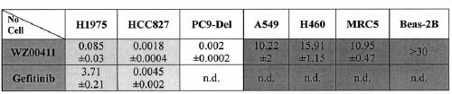 A pyrazolo[5,6-d]pyrimidine EGFR inhibitor and its antitumor activity