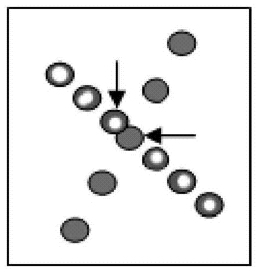 Stroke confirmation method of handwritten Chinese characters based on feature matrix for similarity matching