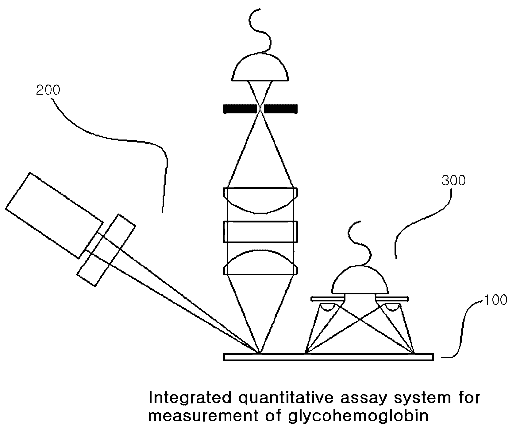 System for quantitative measurement of glycohemoglobin and method for measuring glycohemoglobin