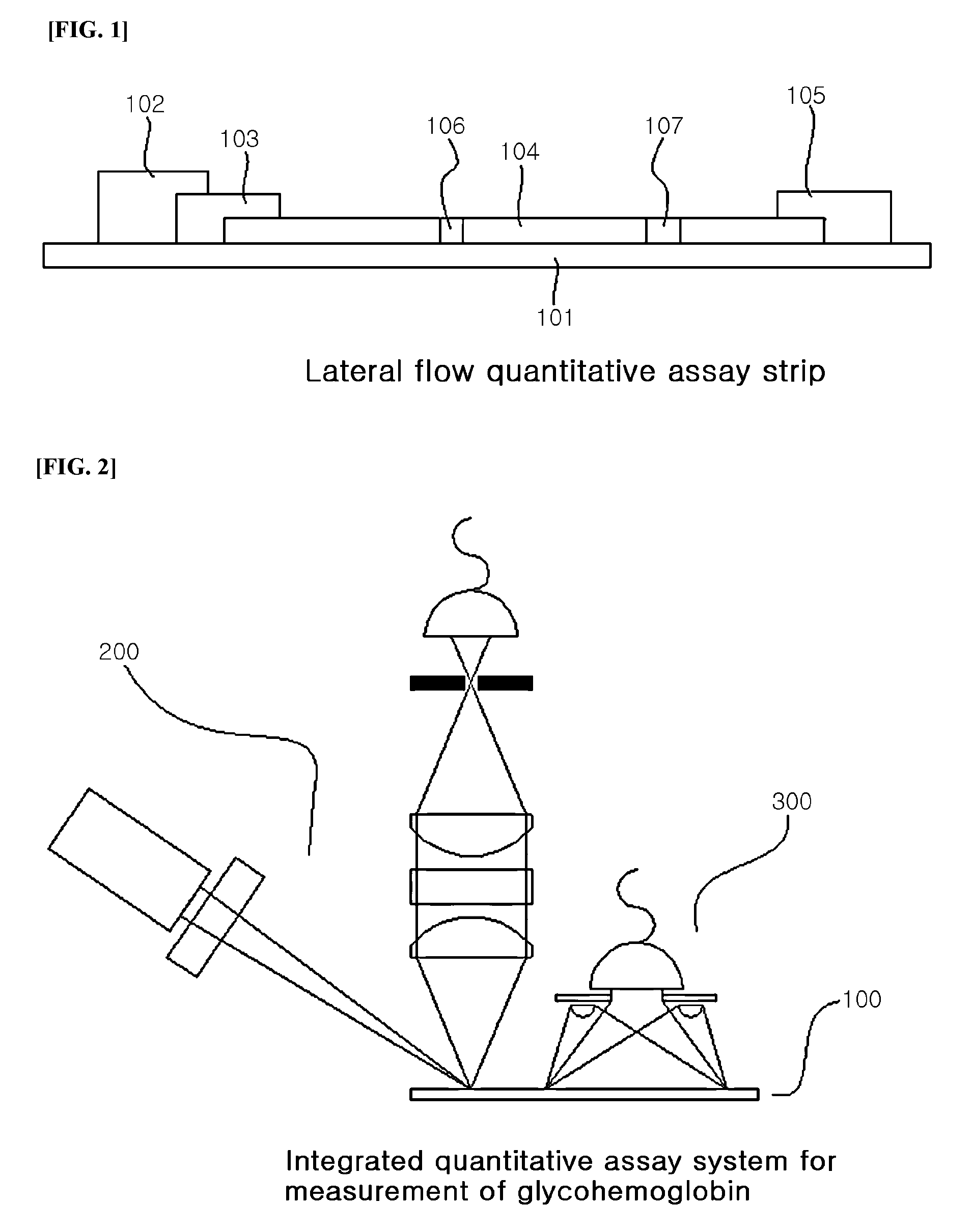 System for quantitative measurement of glycohemoglobin and method for measuring glycohemoglobin