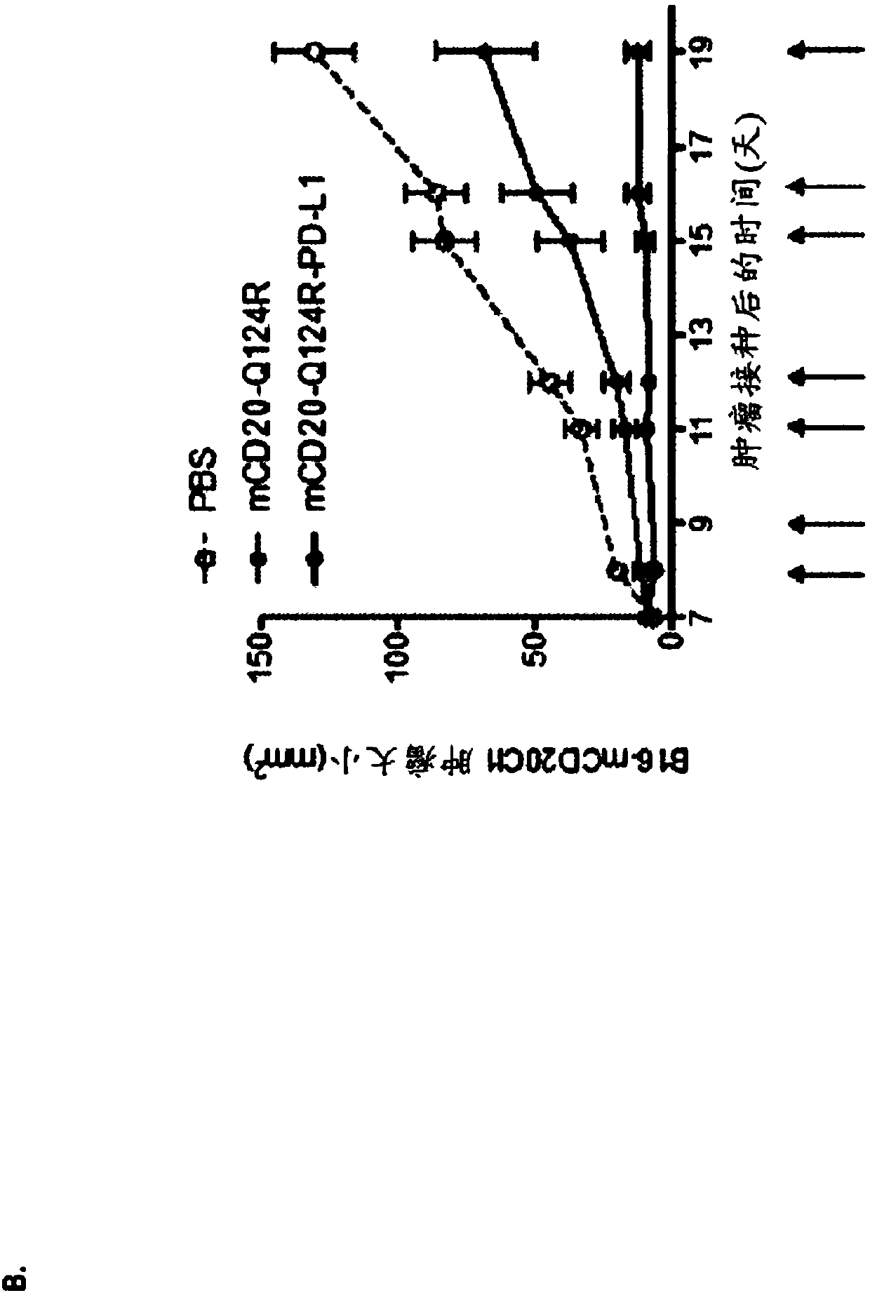 Bispecific signaling agents and uses thereof