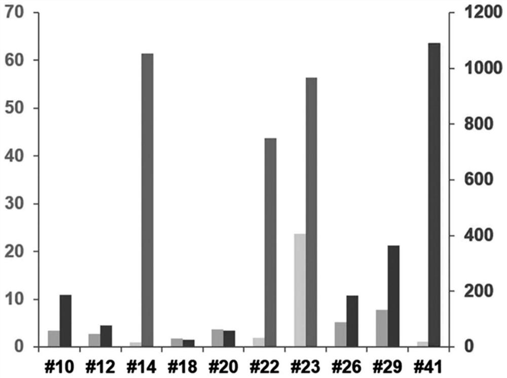 Mesenchymal stem cells expressing brain-derived neurotrophic factor and use thereof