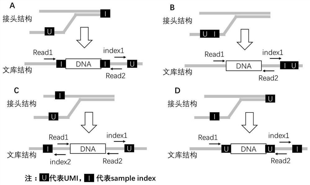 Double-end molecular index adapter, its use and sequencing library with the adapter