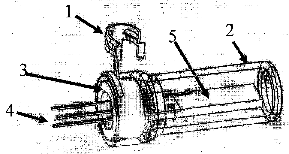 Biocompatible microphone and preparation method thereof