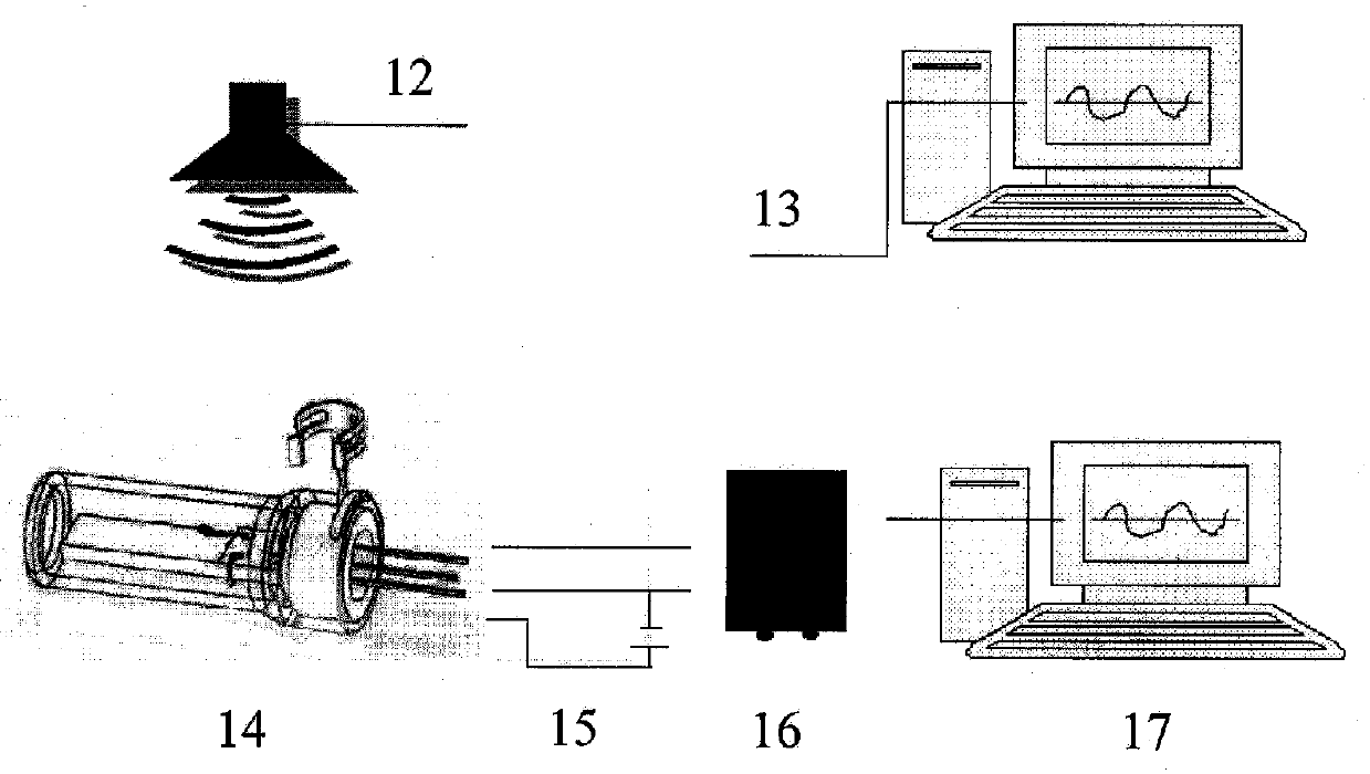 Biocompatible microphone and preparation method thereof