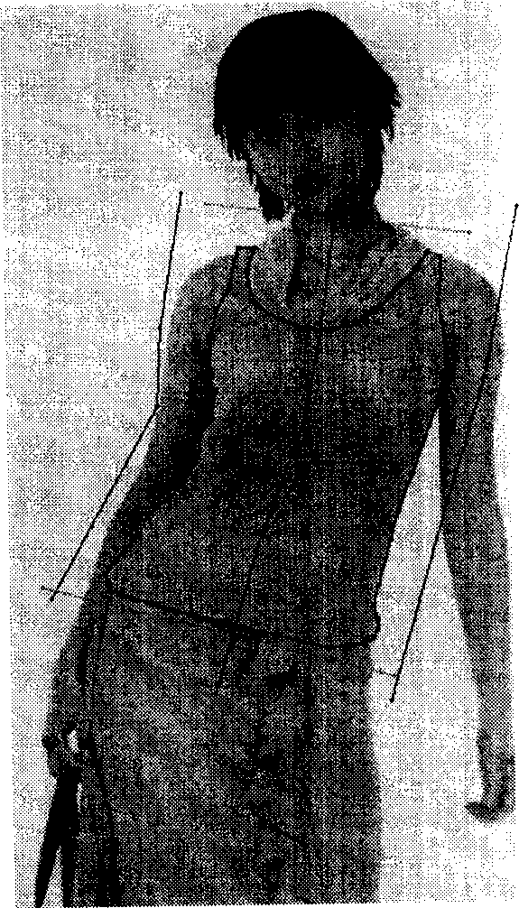 Gridding texture mapping method in garment virtual display system based on image