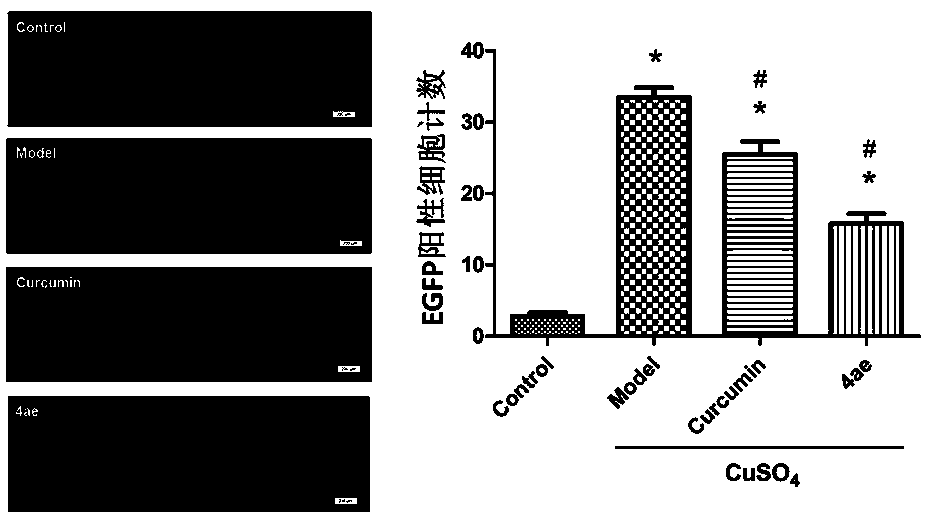 Application of a bisindole compound in the preparation of anti-inflammatory drugs