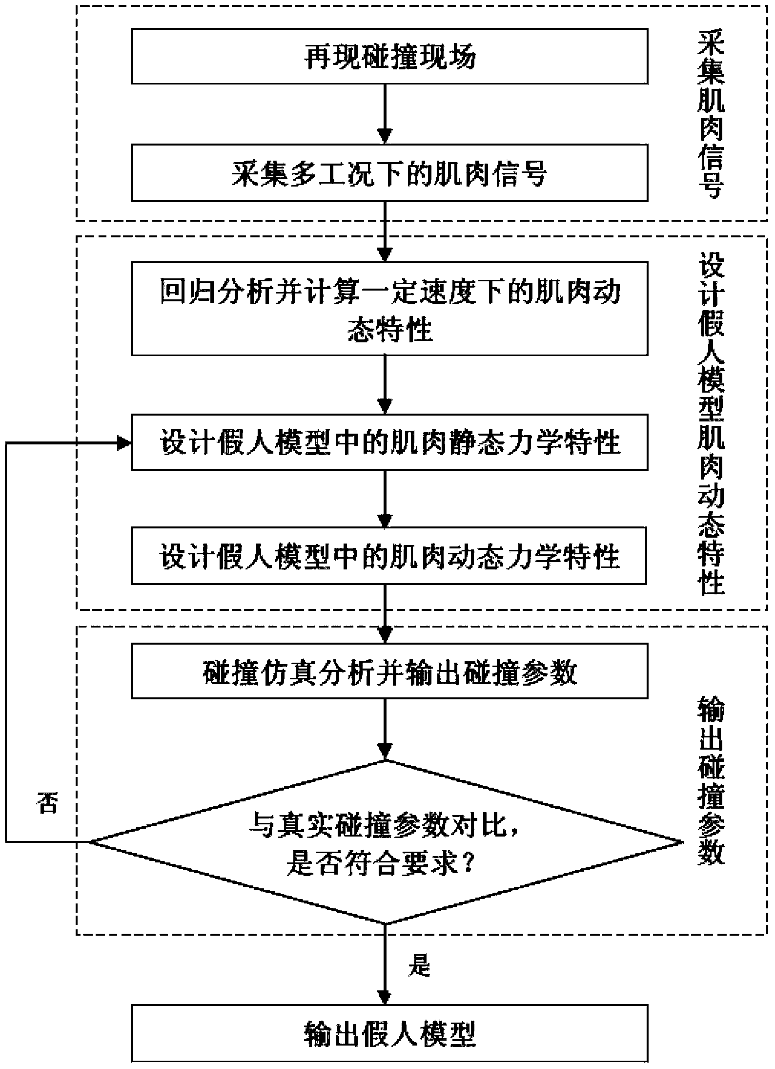Collision dummy model design method reflecting muscle dynamic characteristics of driver