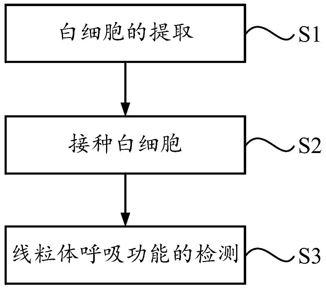 Method for detecting leukocyte mitochondrial respiratory function and method for detecting kidney yin deficiency symptom