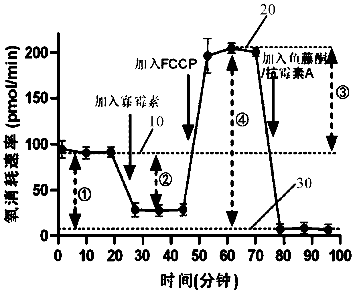 Method for detecting leukocyte mitochondrial respiratory function and method for detecting kidney yin deficiency symptom