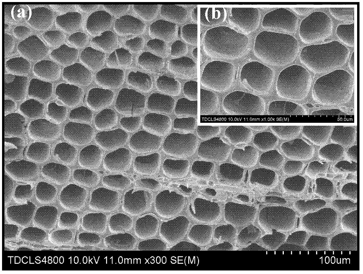 Biomorphic hierarchical porous La0.9K0.1CoO3 catalyst and preparation method thereof