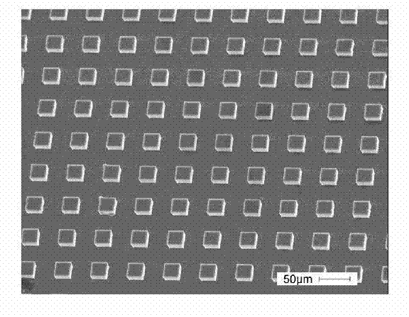 Method for constructing hemocompatible material surface with bionic periodic structure