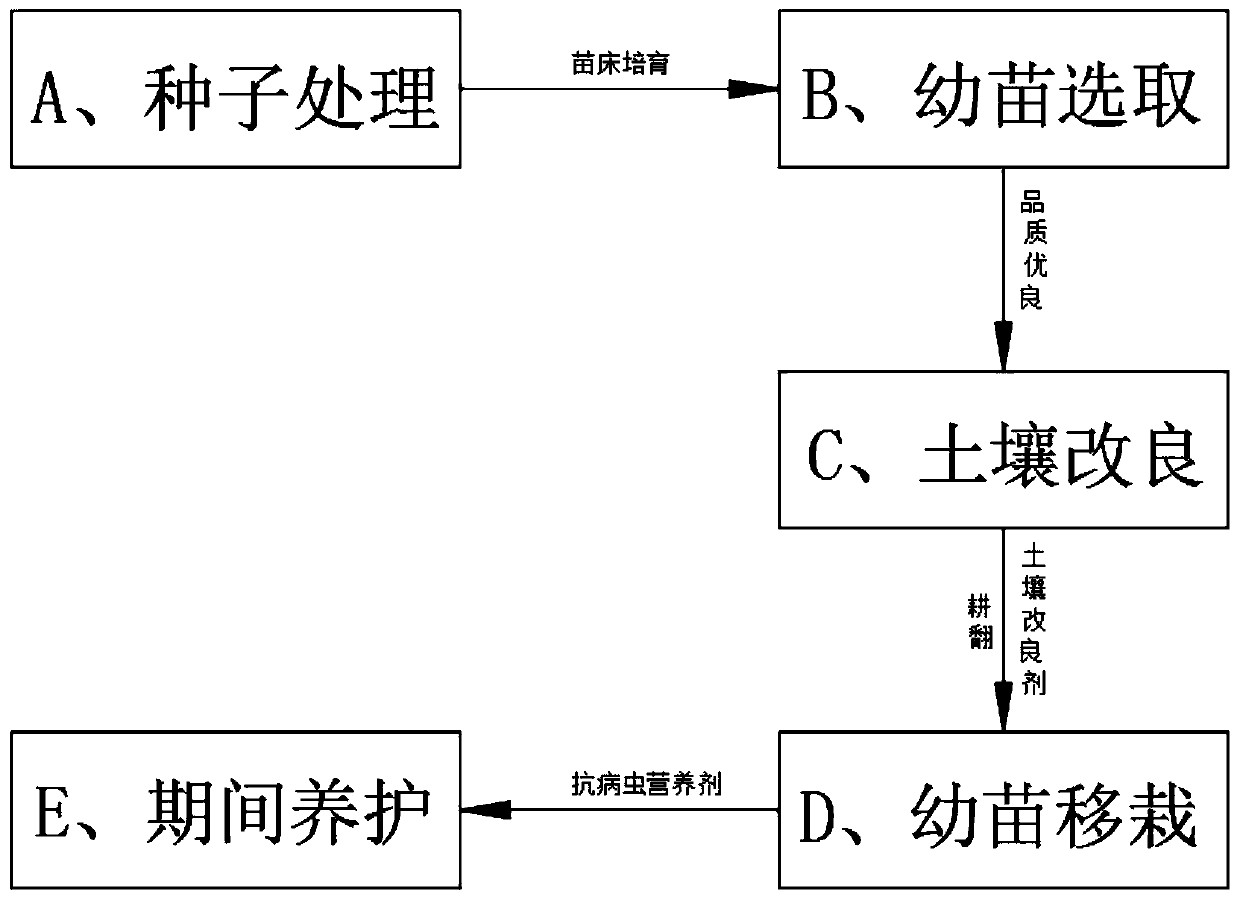 Disease prevention and treatment method based on strawberry seedling planting process