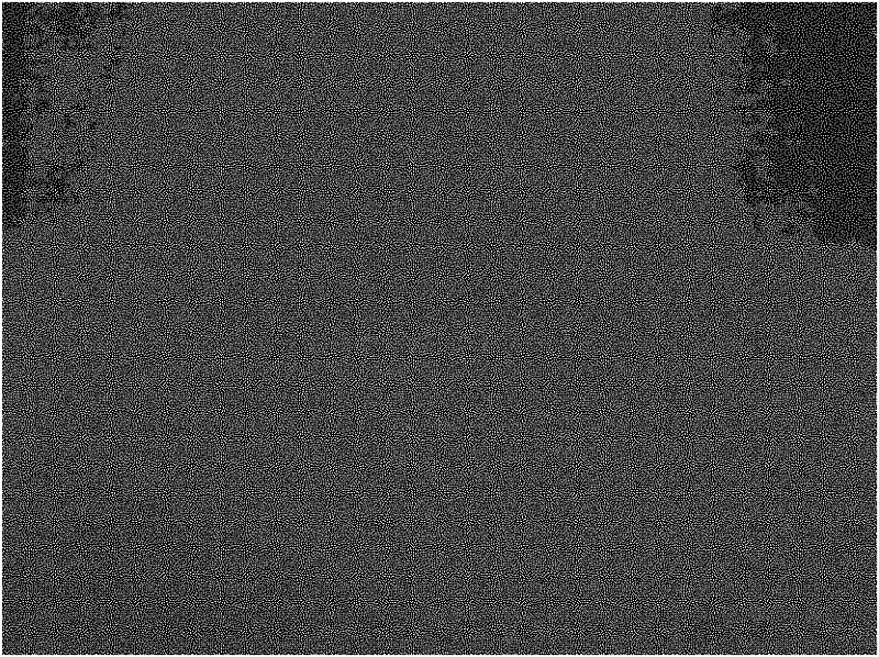 Ply tissue engineering corneal frame and manufacturing method and application thereof