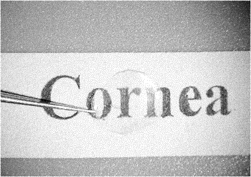 Ply tissue engineering corneal frame and manufacturing method and application thereof