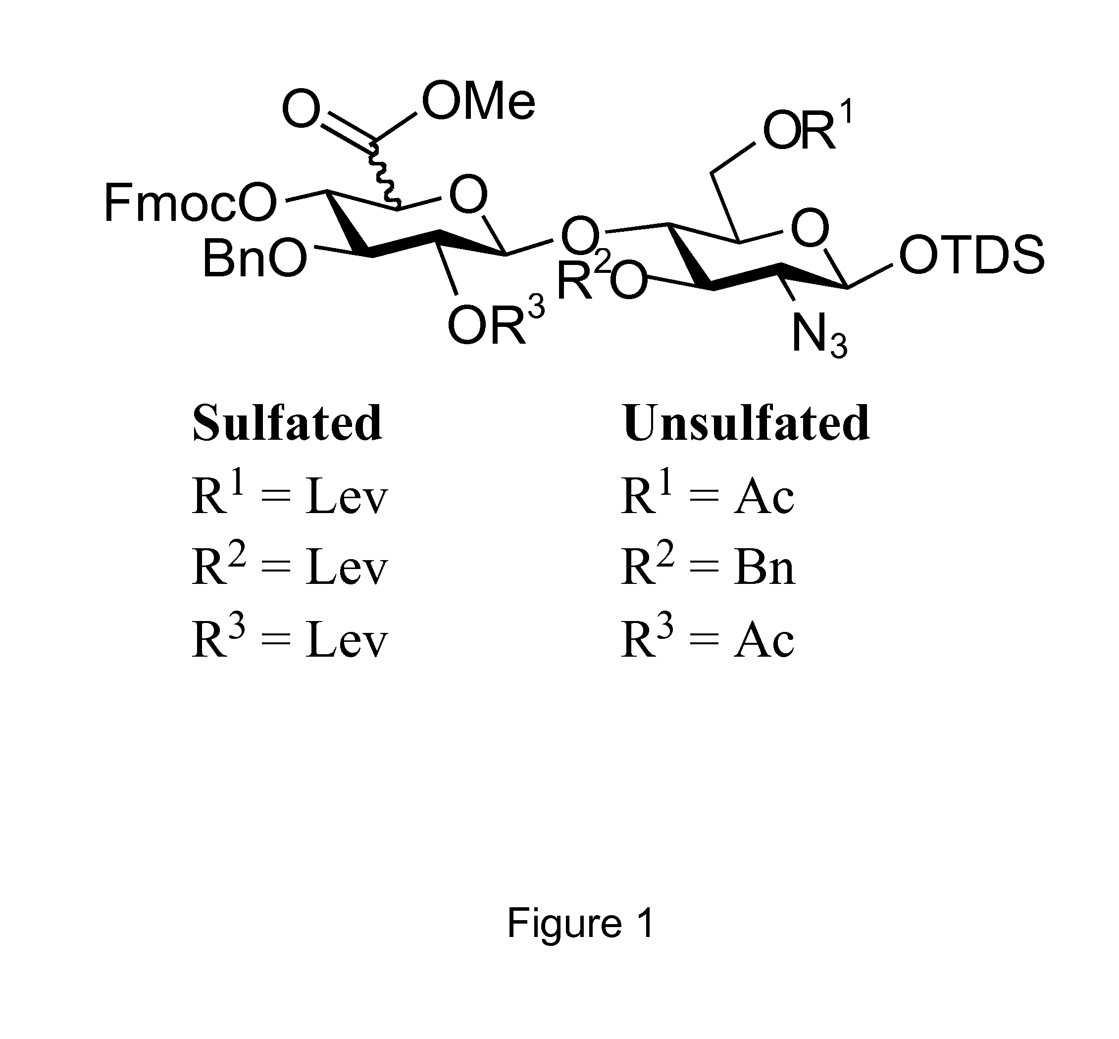 Heparan sulfate synthesis